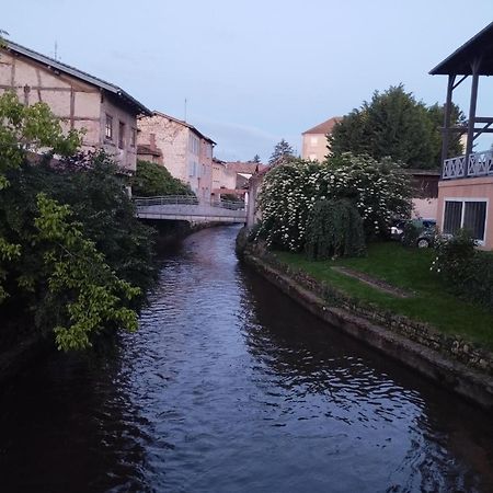 La Maison De Marie, Cosy Et Spacieuse - 3 Chambres Dont Une Climatisee Châtillon-sur-Chalaronne Eksteriør billede